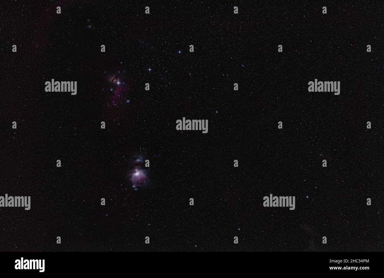 Inverno notte cielo con viola Orion nebulosa molte stelle a punta visibile Foto Stock