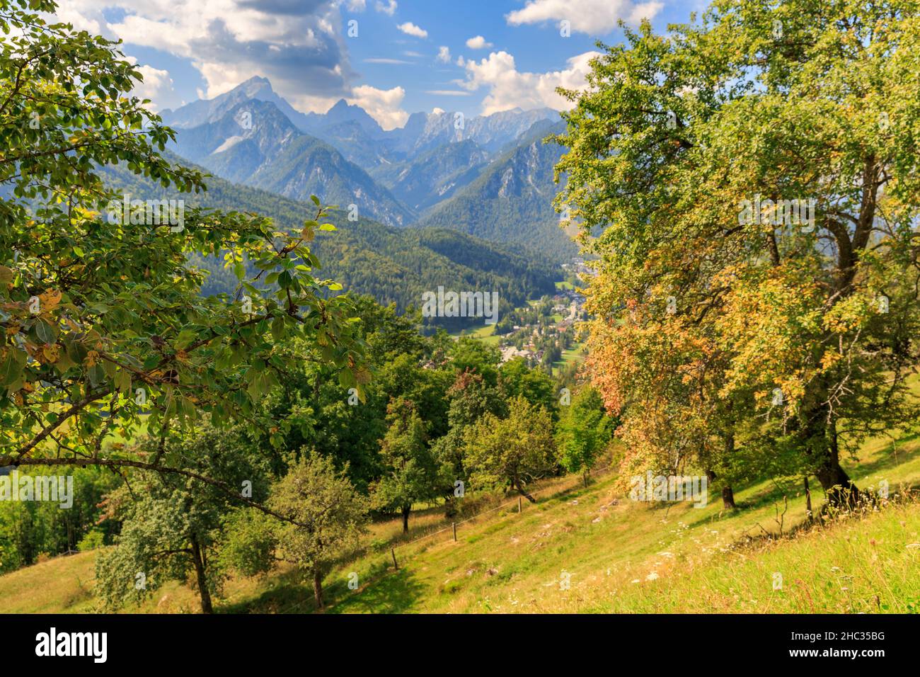 L'agricoltura traazionale è ancora stile di vita sloveno, frutteto e una maestosa vista alp verso Kranjska Gora, Slovenia Foto Stock