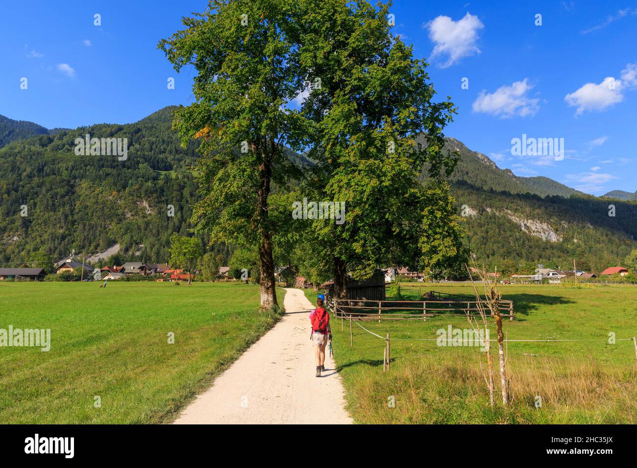 Una donna sta camminando vicino a Kranjska Gora accanto a meravigliosi prati freschi, la slovenia Foto Stock