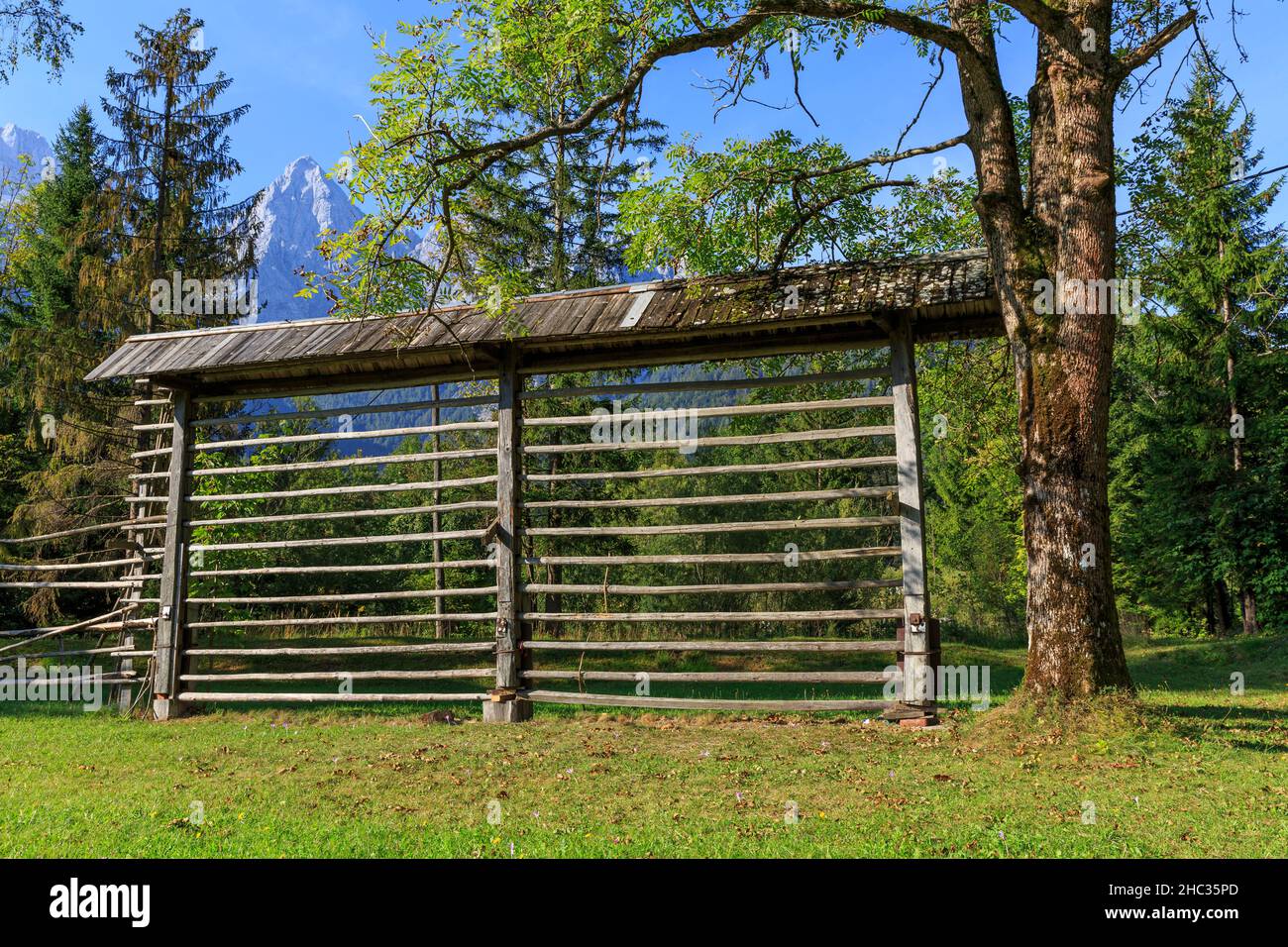 Un Harpfe sloveno tratitional per asciugare il fieno, le alpi sullo sfondo, la slovenia Foto Stock