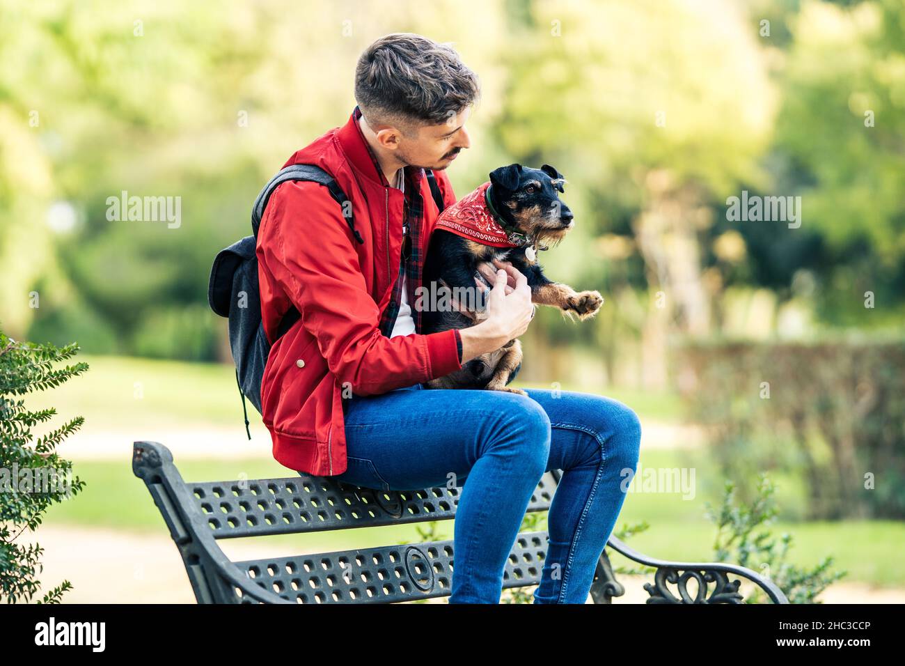 Uomo che abbraccia un piccolo cane mentre si siede su una panca in un parco Foto Stock