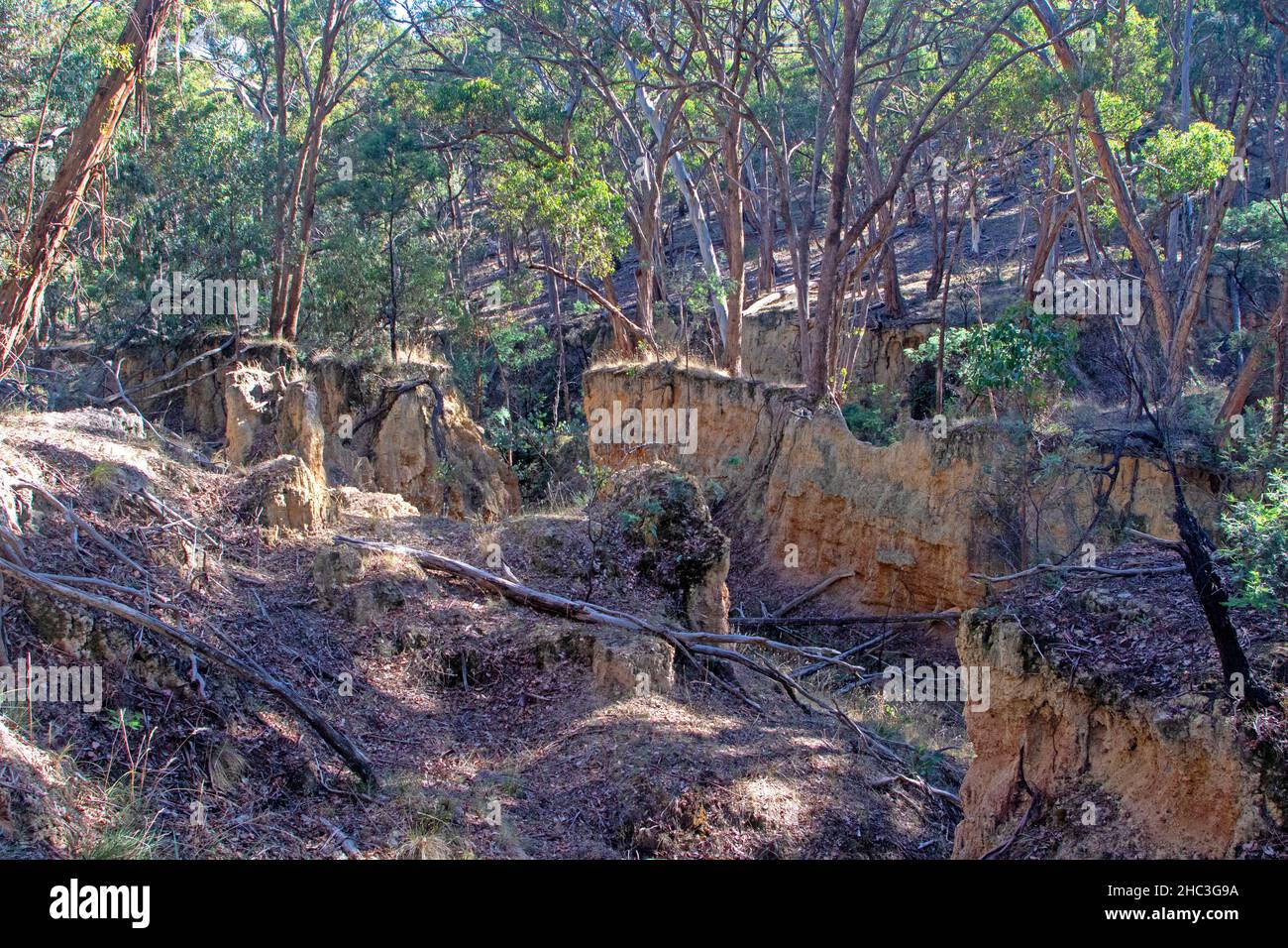 Beehive Gully vicino a Hepburn Springs Foto Stock