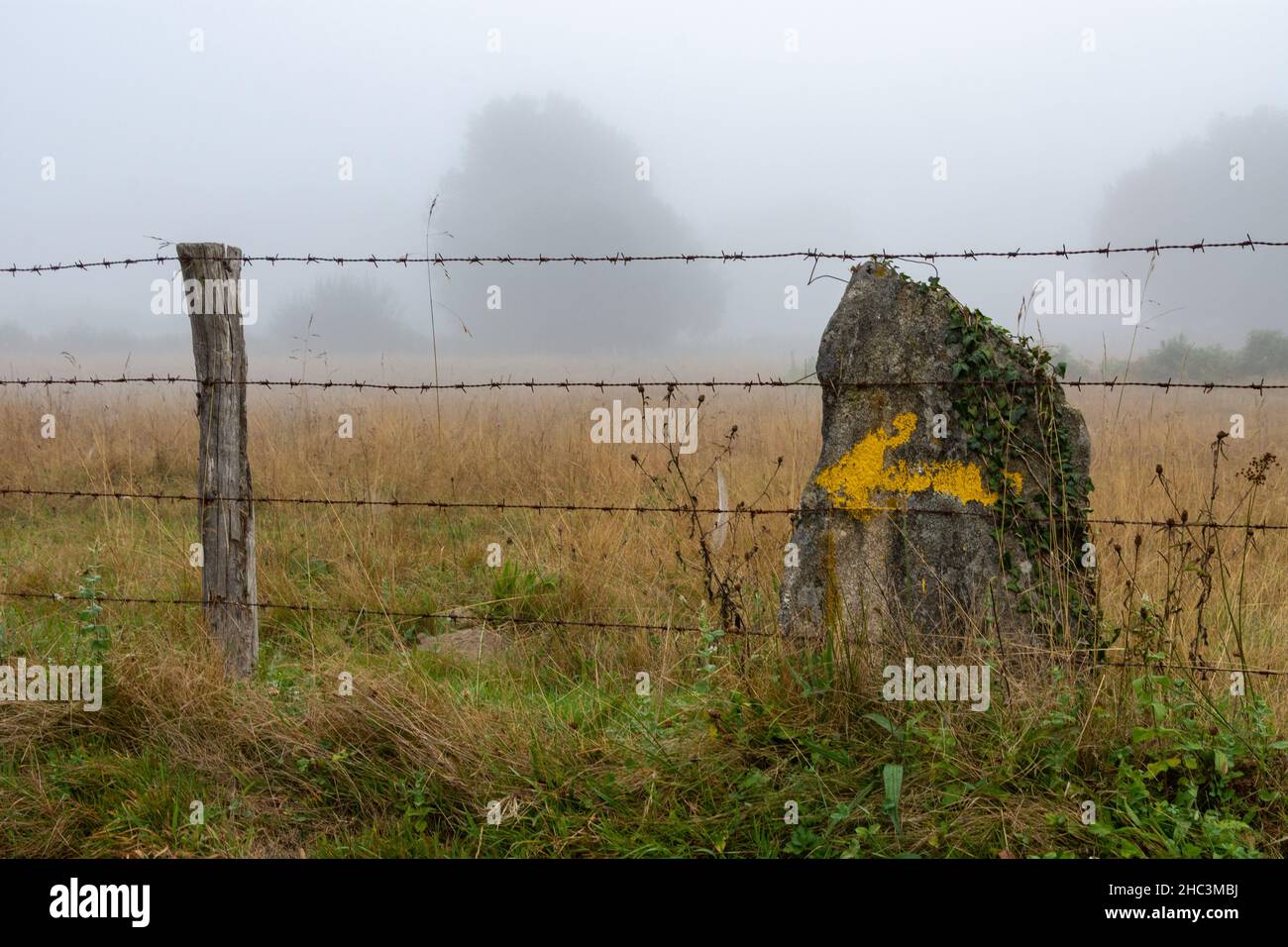 Camino de Santiago (Via di San Giacomo) freccia dipinta su una roccia Foto Stock