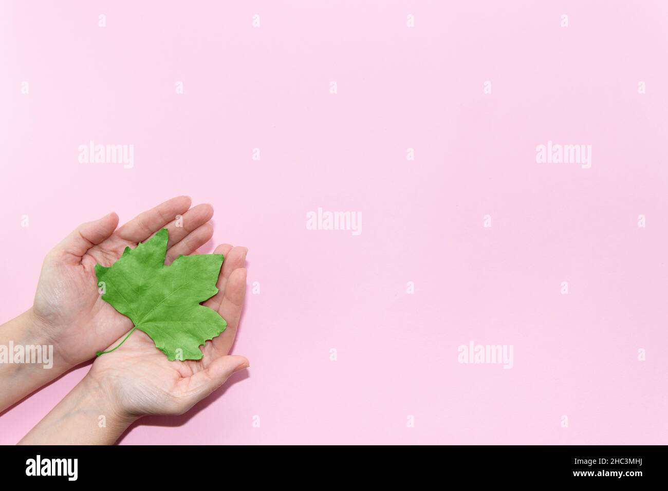 Energia verde, risorse rinnovabili e sostenibili. Concetto di cura ambientale ed ecologica. Mani che tengono una foglia verde su sfondo rosa pastello. Foto Stock