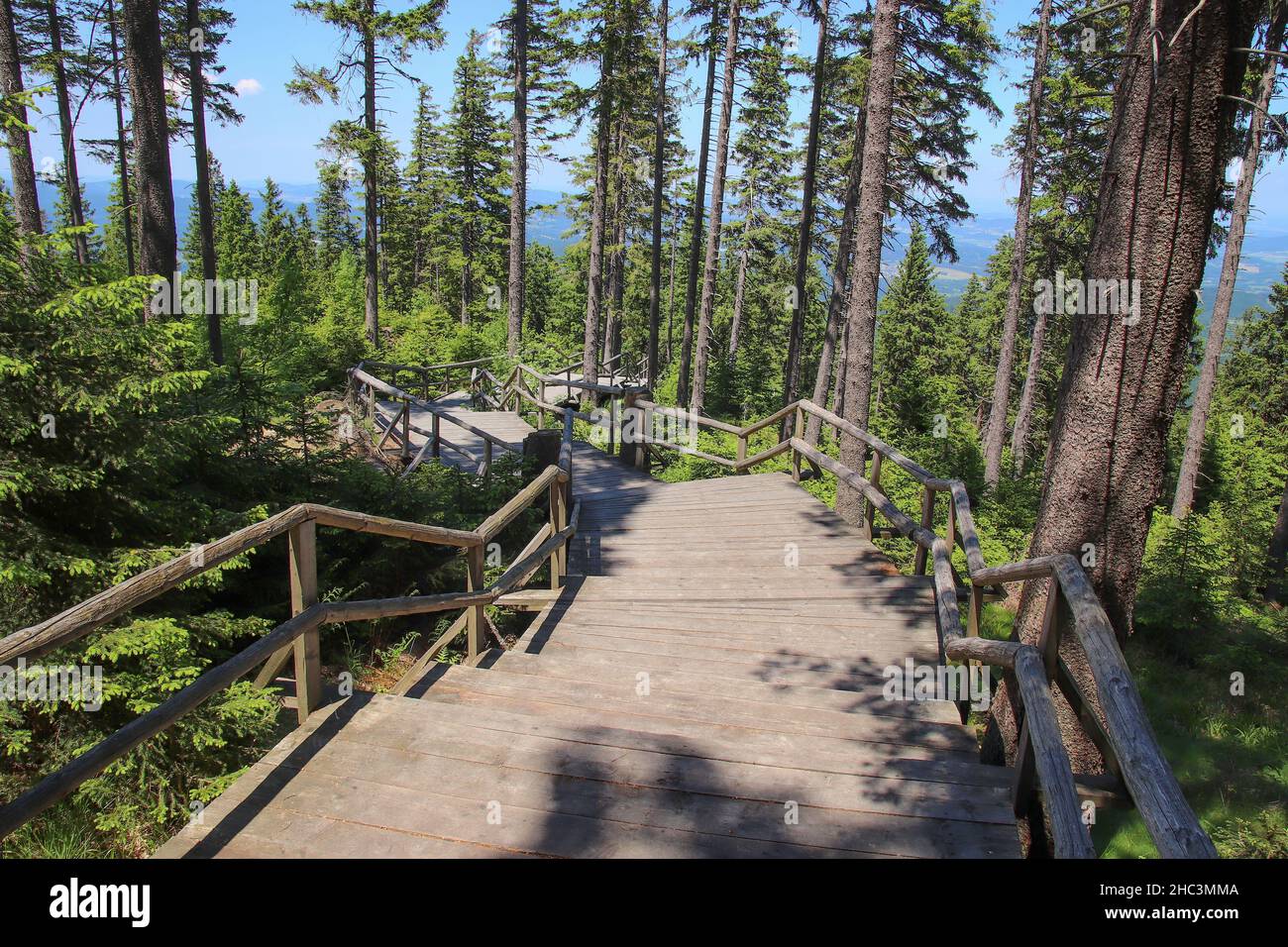 Una scala di legno nella foresta vicino alla cima della montagna Boubin Foto Stock