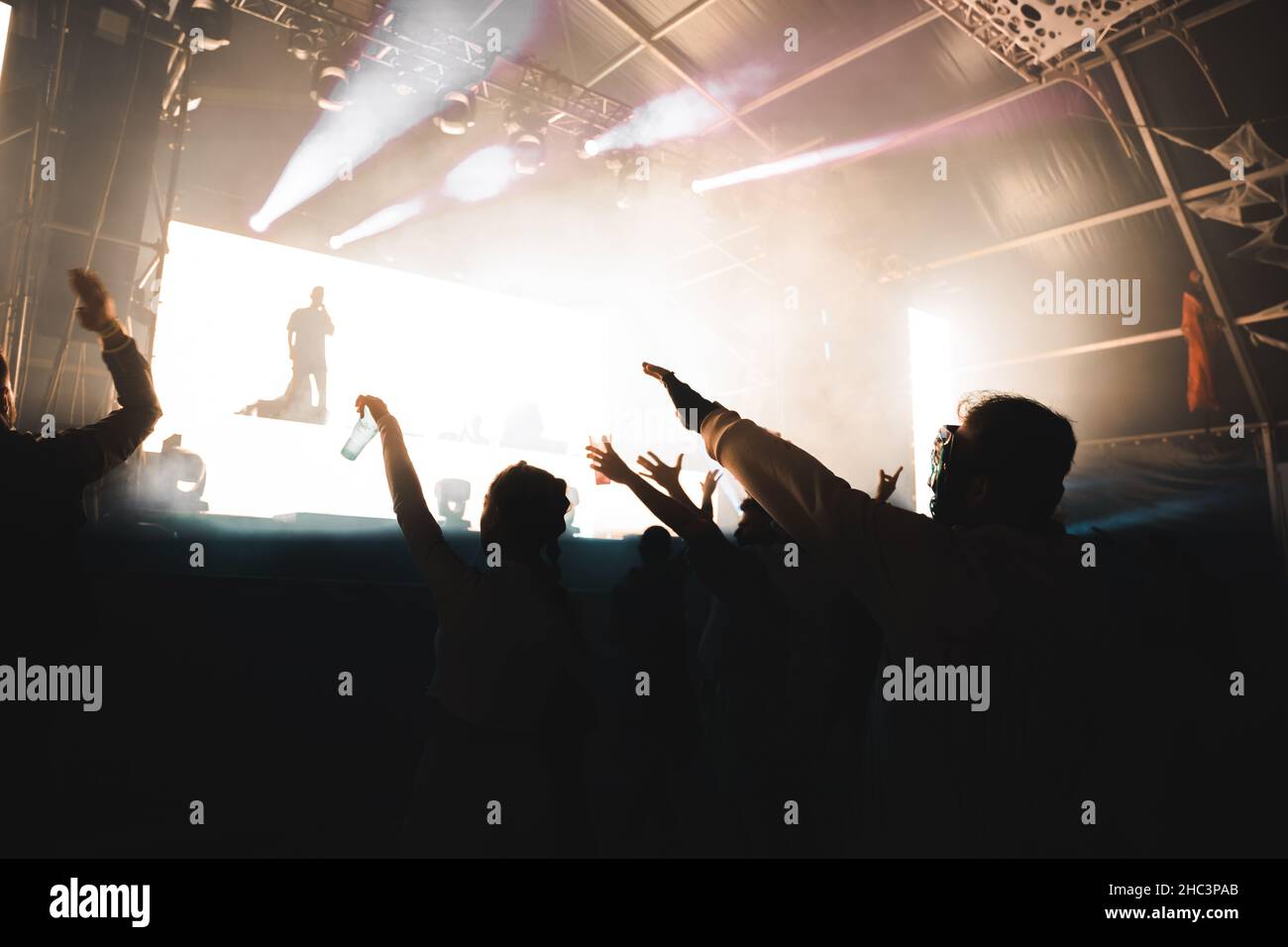 Folla con mani alzate che festeggiava il concerto Foto Stock