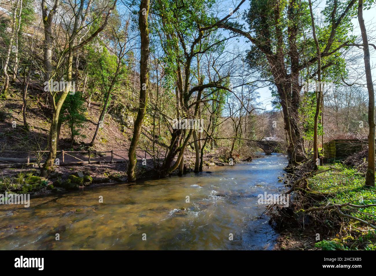 Acqua di sorgente Foto Stock