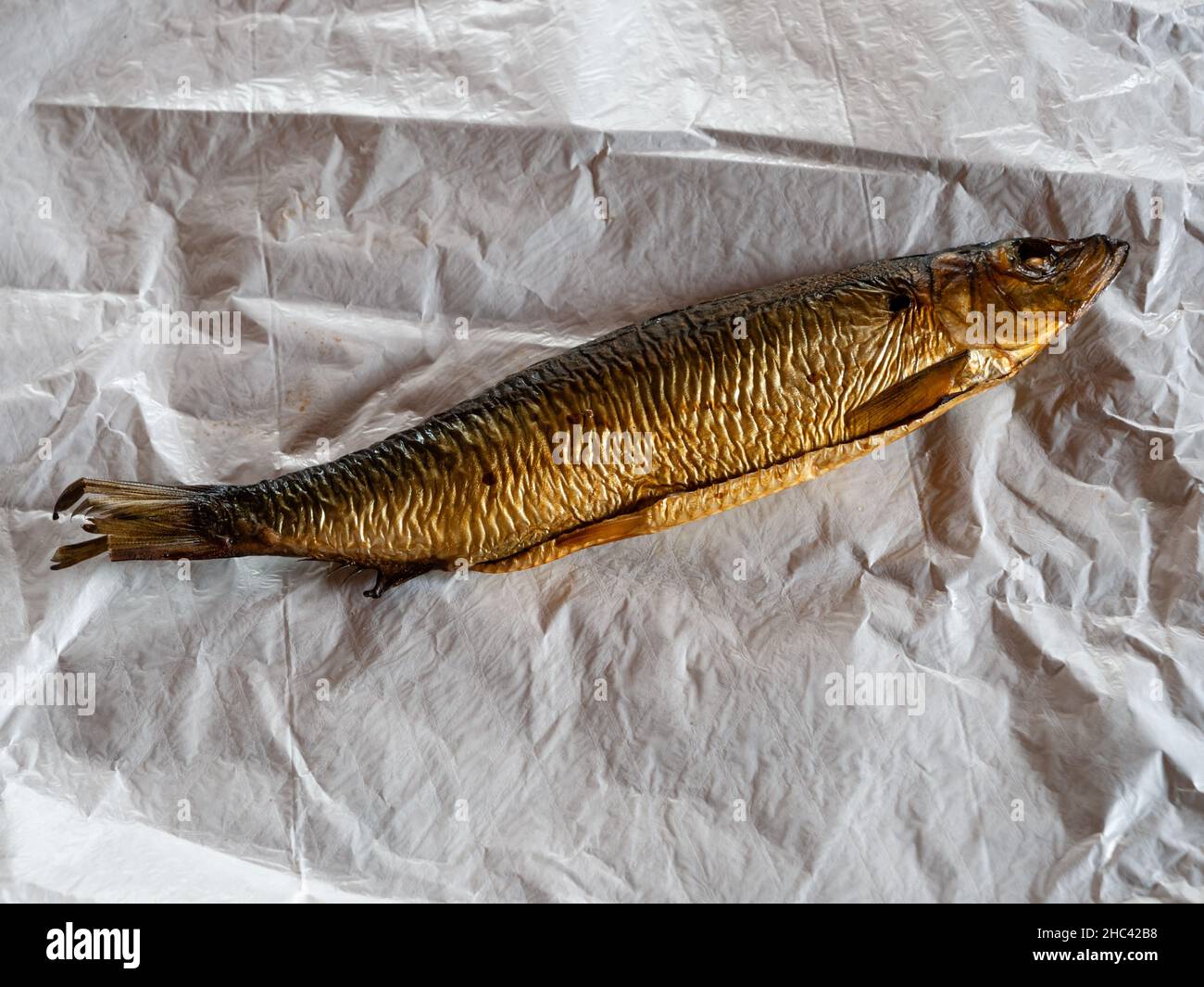 Kipper un intero aringa affumicata e curata o pesce salato su carta bianca Foto Stock