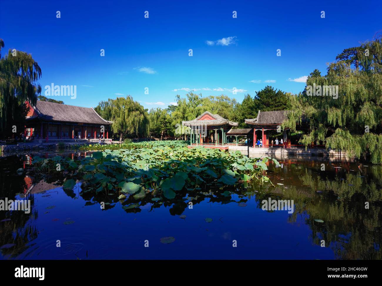 Splendida vista sui padiglioni cinesi vicino a un laghetto Foto Stock