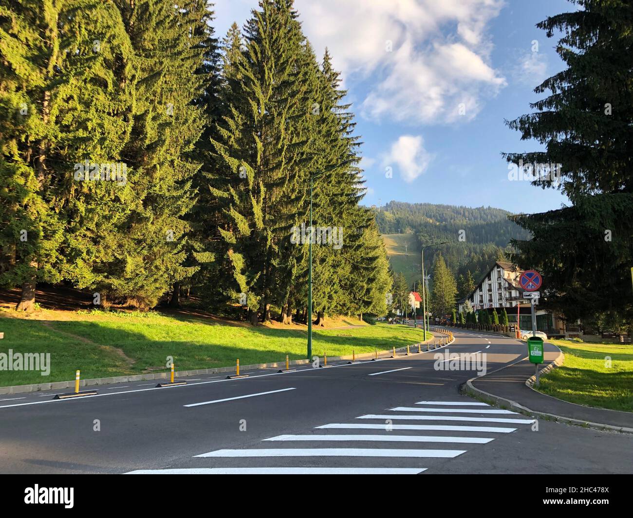 Una strada circondata da alberi verdi a Poiana Brasov, Romania Foto Stock