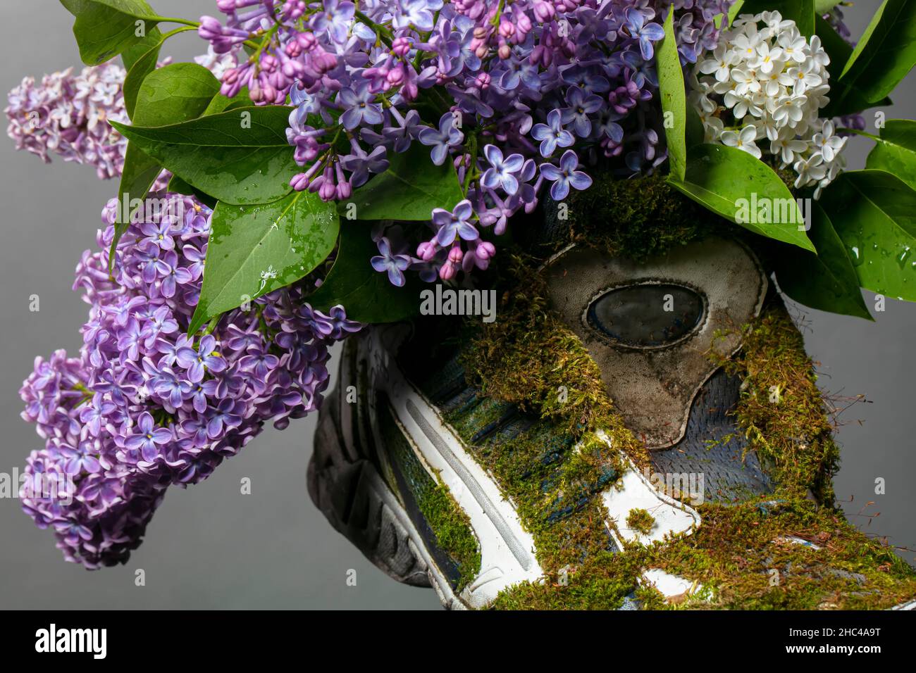 Parte di una vecchia sneaker ricoperta di muschio e crauti in fiore. Scarpe realizzate con materiali naturali. Foto Stock