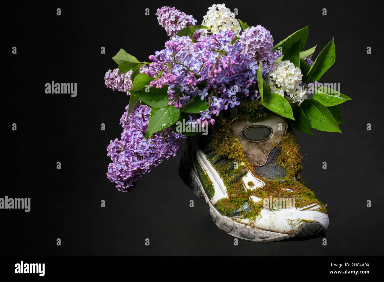 Una sneaker ricoperta di muschio e lavanda in fiore. Scarpe realizzate con materiali naturali. Foto Stock