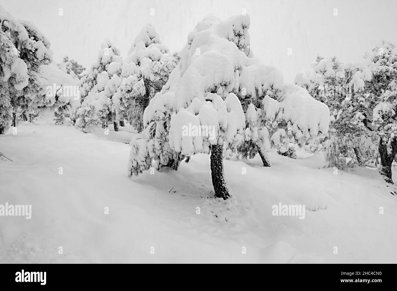 Paesaggi innevati dall'interno di Granada - Spagna Foto Stock