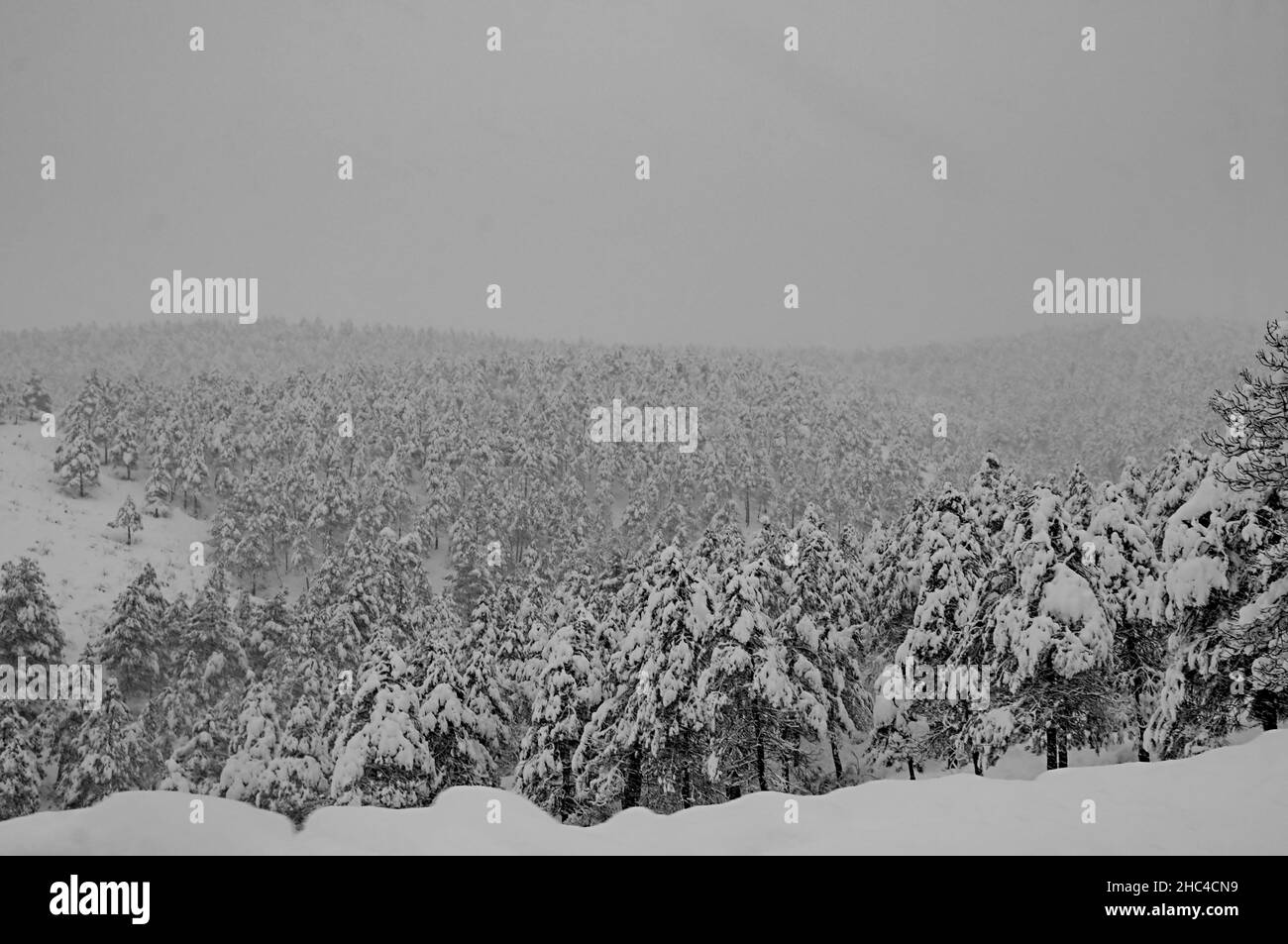 Paesaggi innevati dall'interno di Granada - Spagna Foto Stock