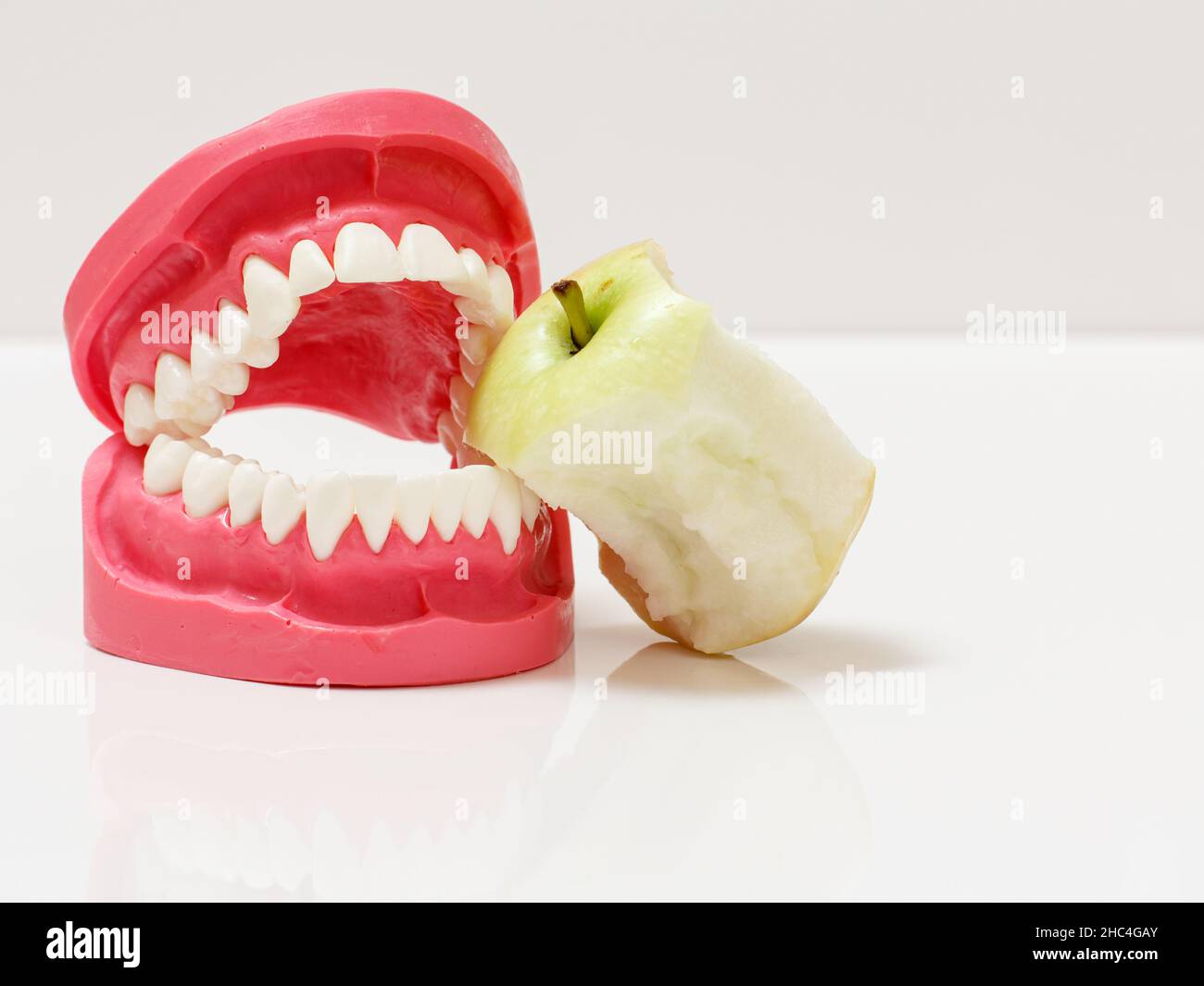 Disposizione della mandibola umana e del nucleo di mela accanto ad essa. Foto Stock