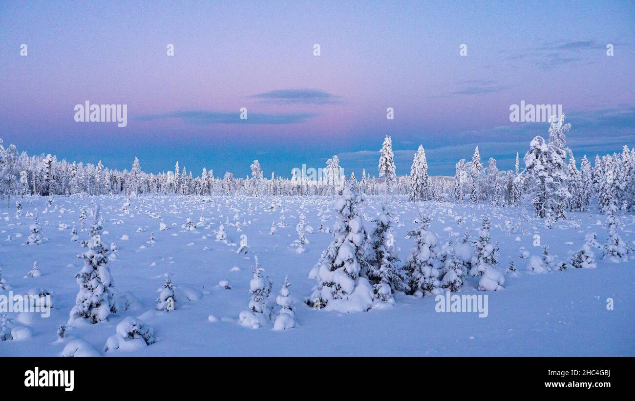 A nord della Svezia, montagne in Arjeplog lapponia in inverno Foto Stock