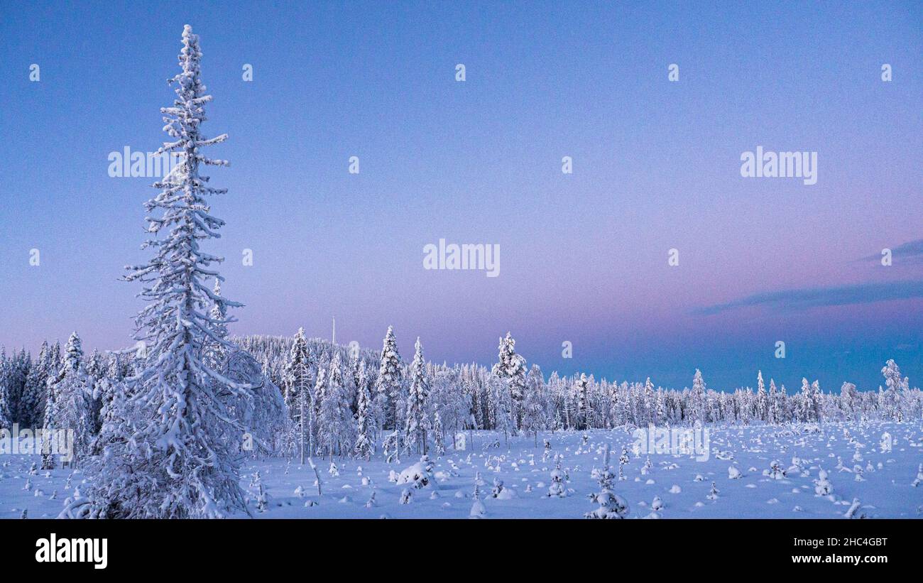 A nord della Svezia, montagne in Arjeplog lapponia in inverno Foto Stock