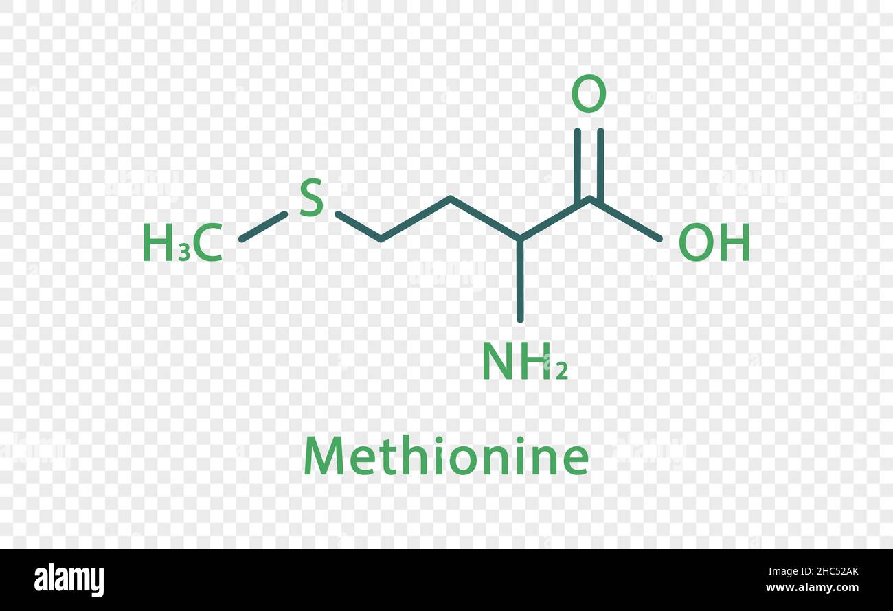 Formula chimica della metionina. Formula chimica strutturale della metionina isolata su sfondo trasparente. Illustrazione Vettoriale
