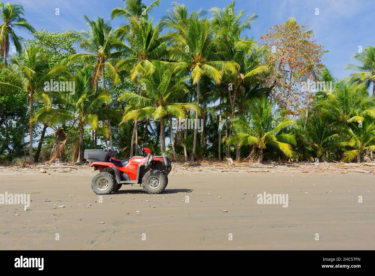 Quad rosso in piedi sulla spiaggia sabbiosa del Costa Rica su uno sfondo di palme Foto Stock