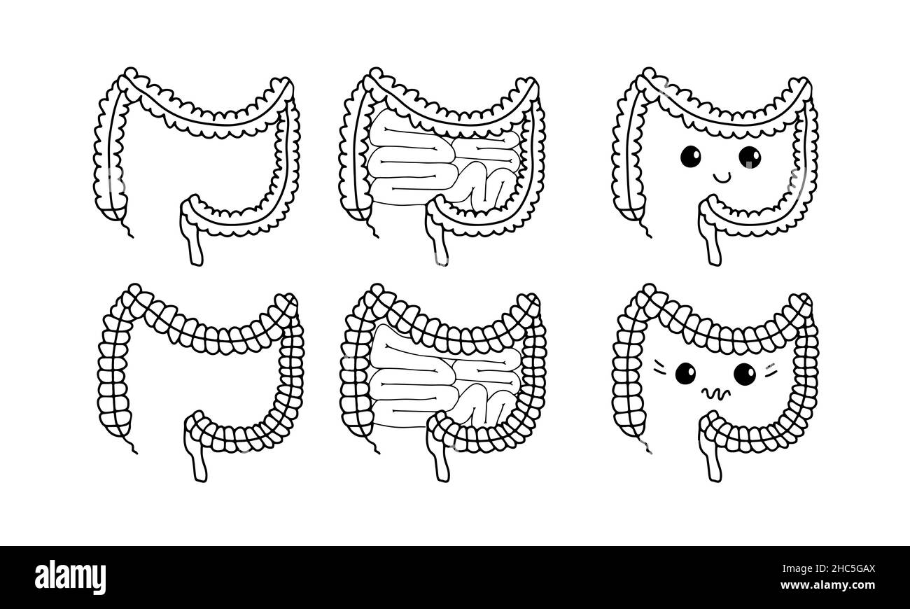 Set di semplici illustrazioni gastrointestinali del sistema interno intestinale. Concetto di intestino sano. Parti del corpo umano in vettore Illustrazione Vettoriale