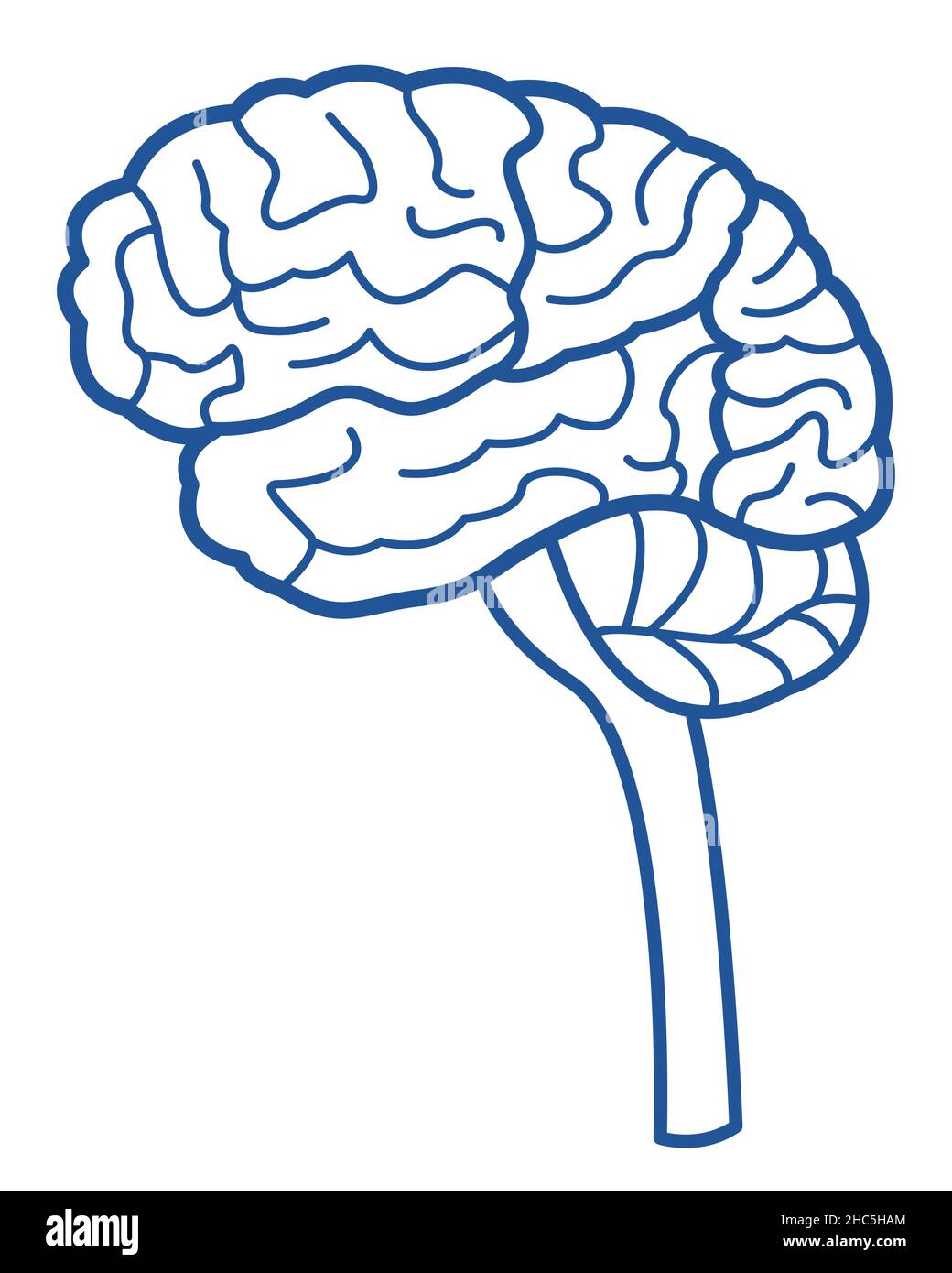Illustrazione del contorno della vista laterale del cervello umano Illustrazione Vettoriale