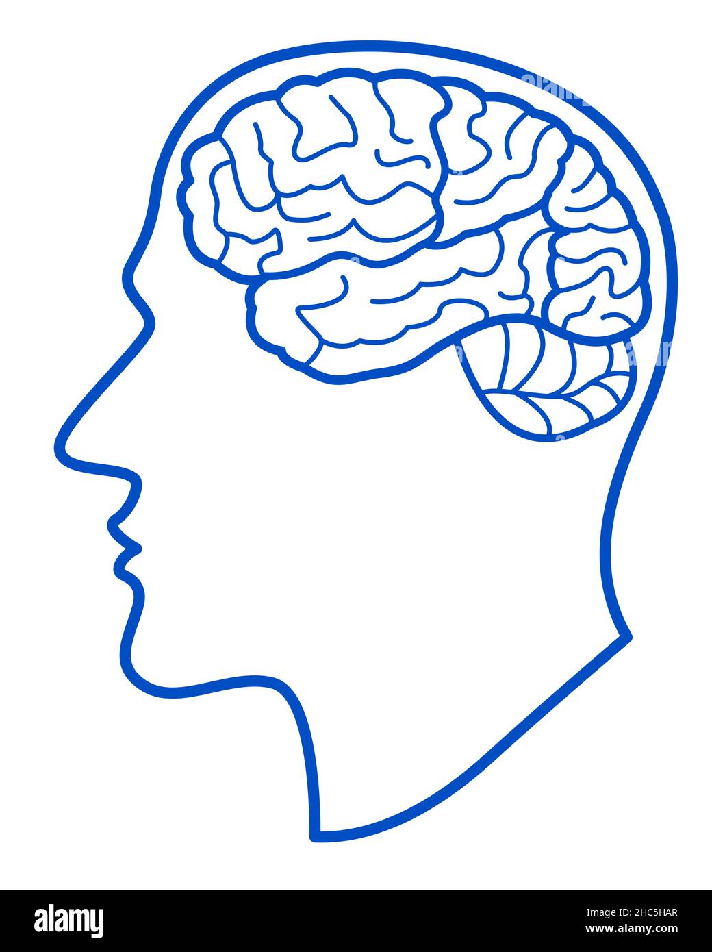 Illustrazione del contorno della testa umana con vista laterale del cervello Illustrazione Vettoriale
