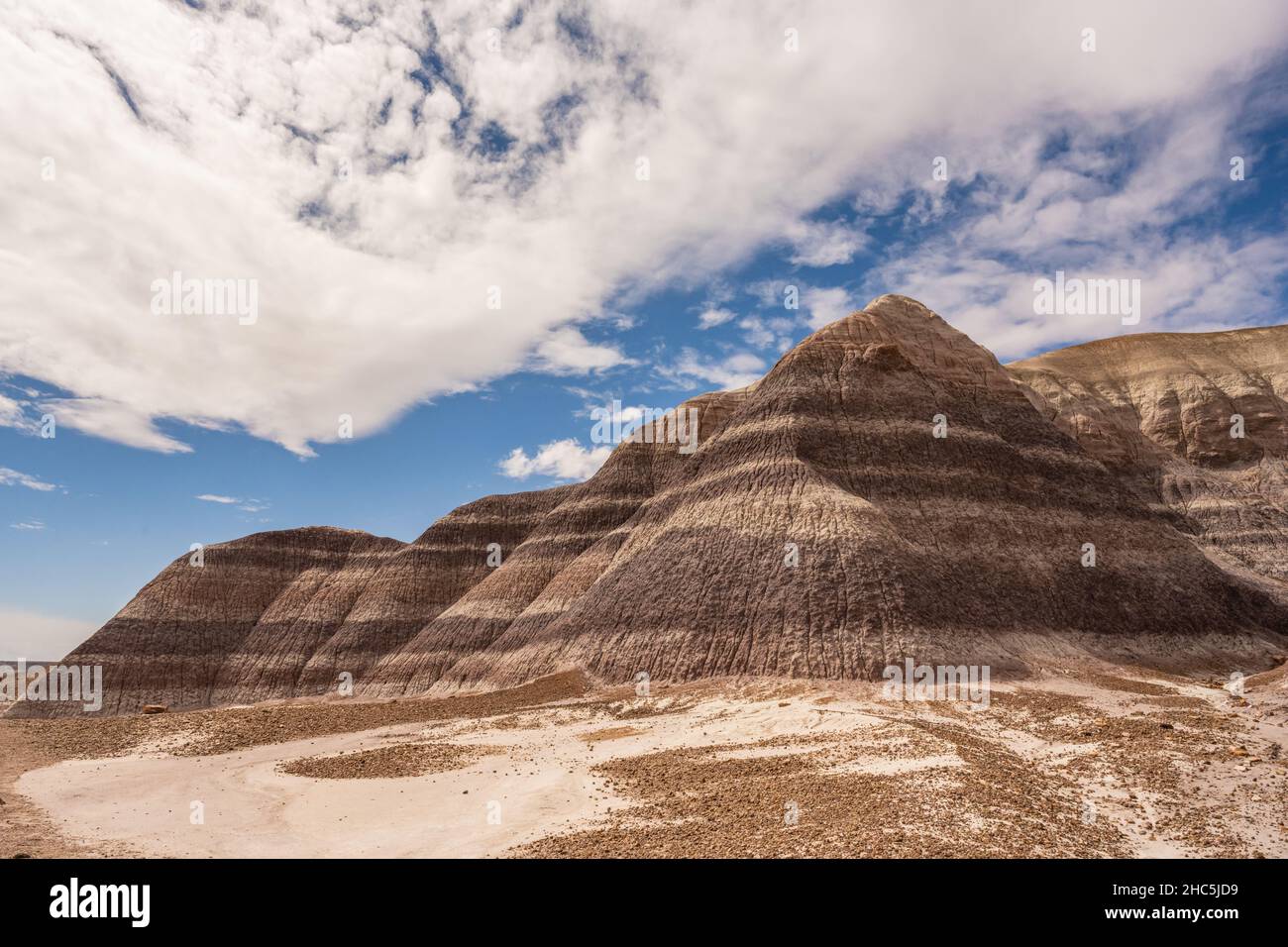 Guarda le formazioni di Tall Badlands lungo il sentiero Blue Mesa nel Parco Nazionale della Foresta di pietra Foto Stock