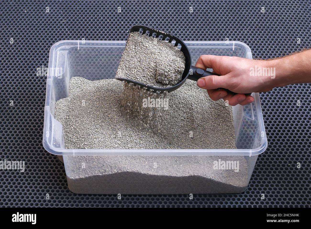 L'uomo pulisce la lettiera. La mano tiene una paletta con un grumo. Riempitivo per graffiature. Foto Stock