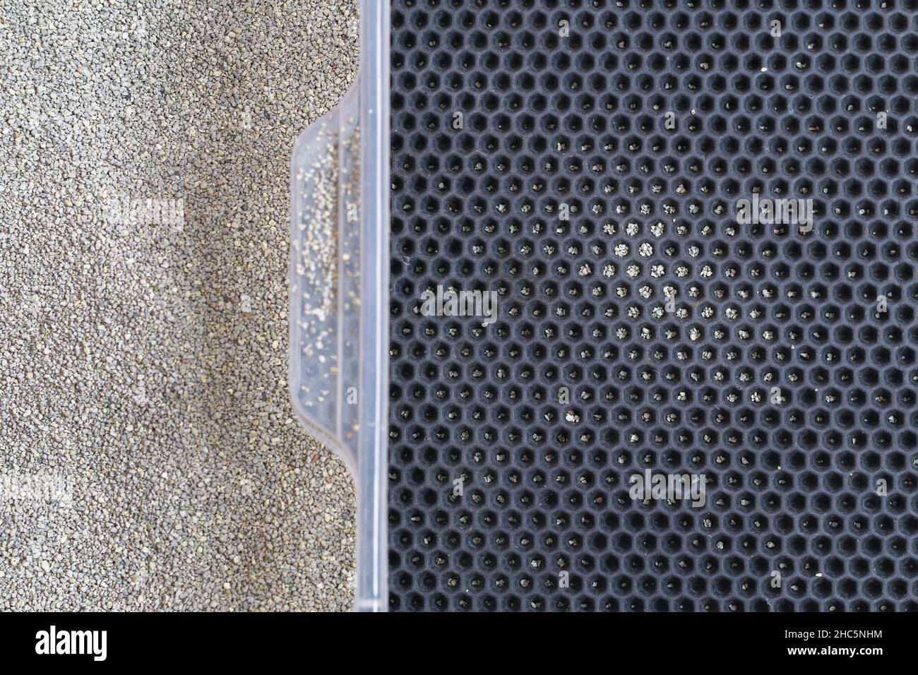 Una lettiera con lettiera che si aggrappa è posizionata su un tappeto EVA a nido d'ape. Piccole particelle di riempitivo dai piedi rimangono nelle cellule. Ordine e pulizia in casa. Foto Stock