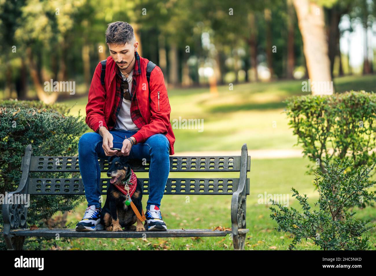 Cane e uomo seduti su una panca in un parco mentre si utilizza un mobile Foto Stock