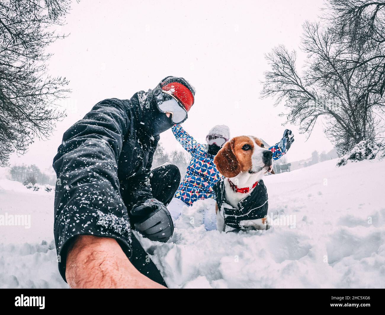 Coppia felice con il loro cane beagle, prendendo un selfie durante una tempesta di neve, dotato di abbigliamento invernale, closeup, concetto di vacanza Foto Stock