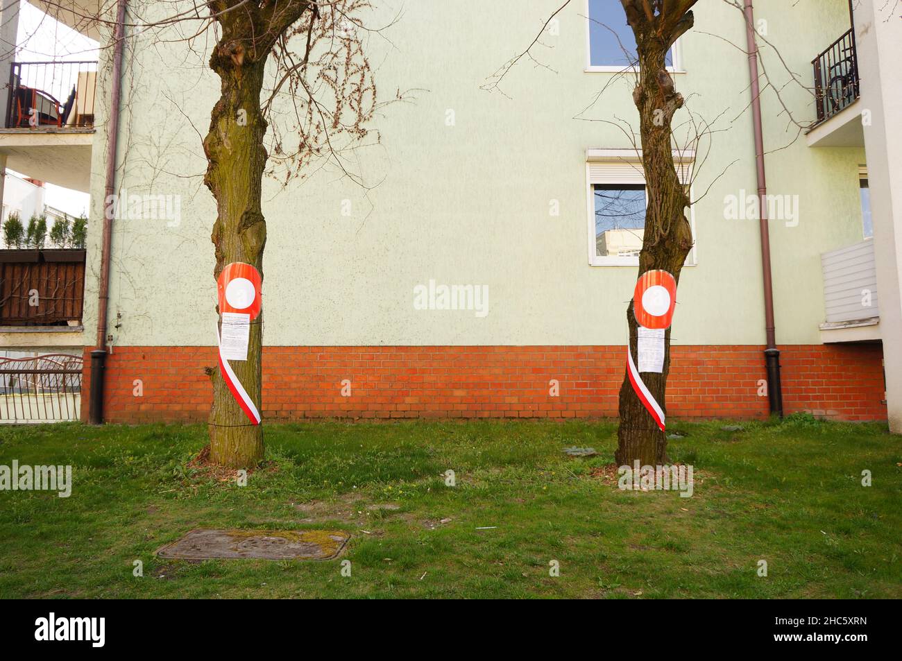 Due vecchi alberi piantati con informazioni di avvertimento accanto ad un edificio nel distretto di stare Zegrze, in Polonia Foto Stock