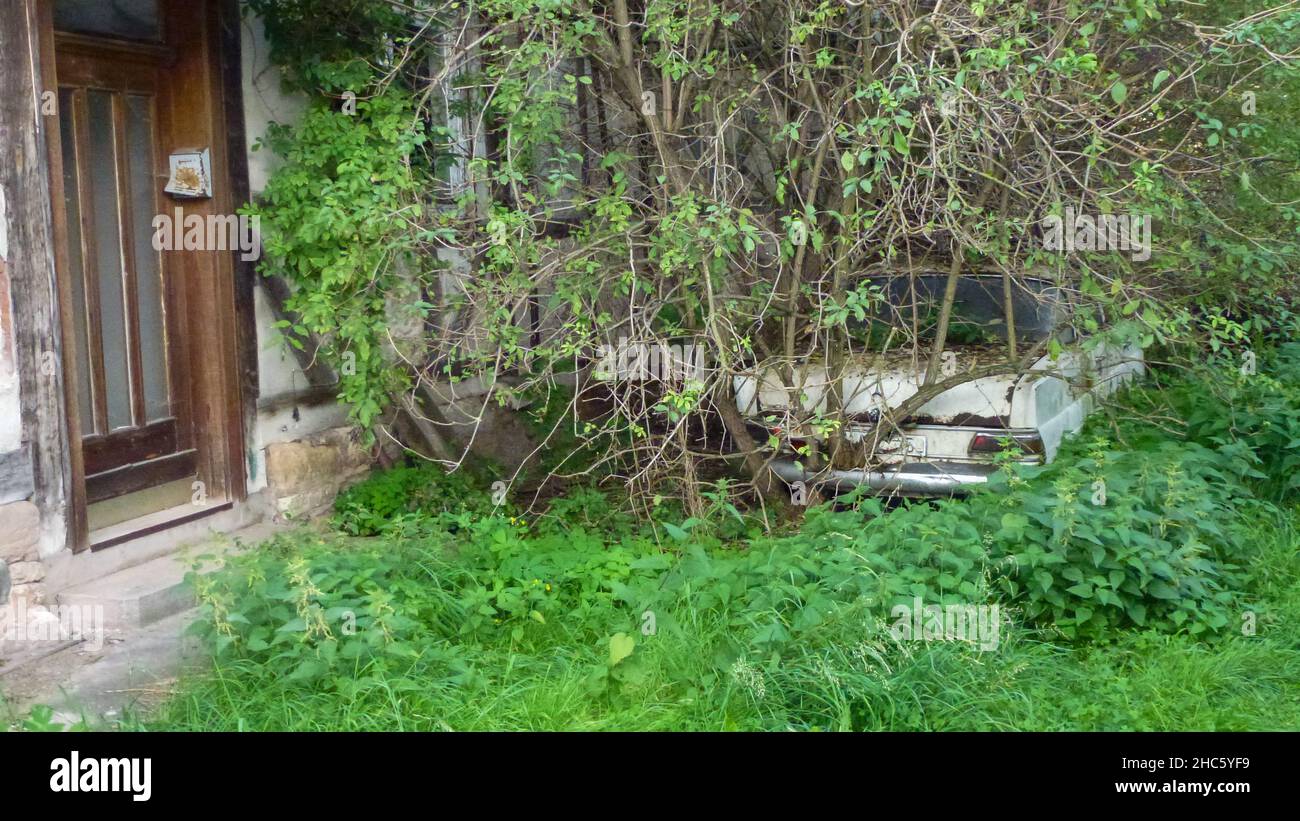 Cortile di una casa con una vecchia, auto bianca e verde piante lussureggianti Foto Stock
