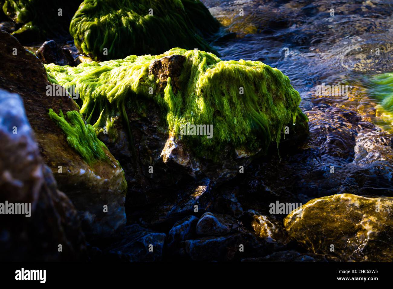 Alto angolo closeup di rocce ricoperte di muschio in un lago Foto Stock