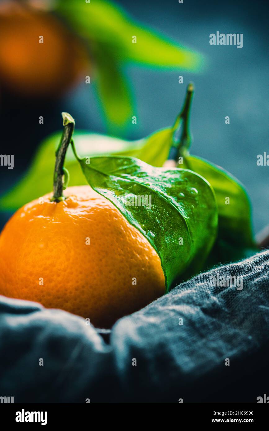 Shot verticale di frutti di mandarino su sfondo scuro Foto Stock