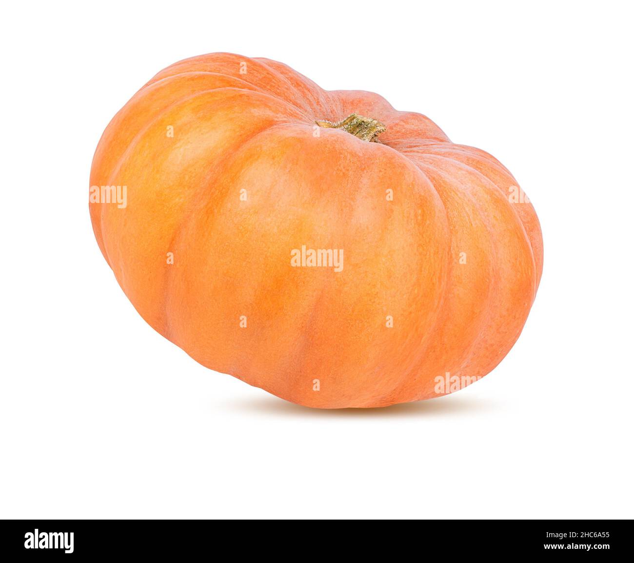 Zucche isolate su uno sfondo bianco. Foto Stock