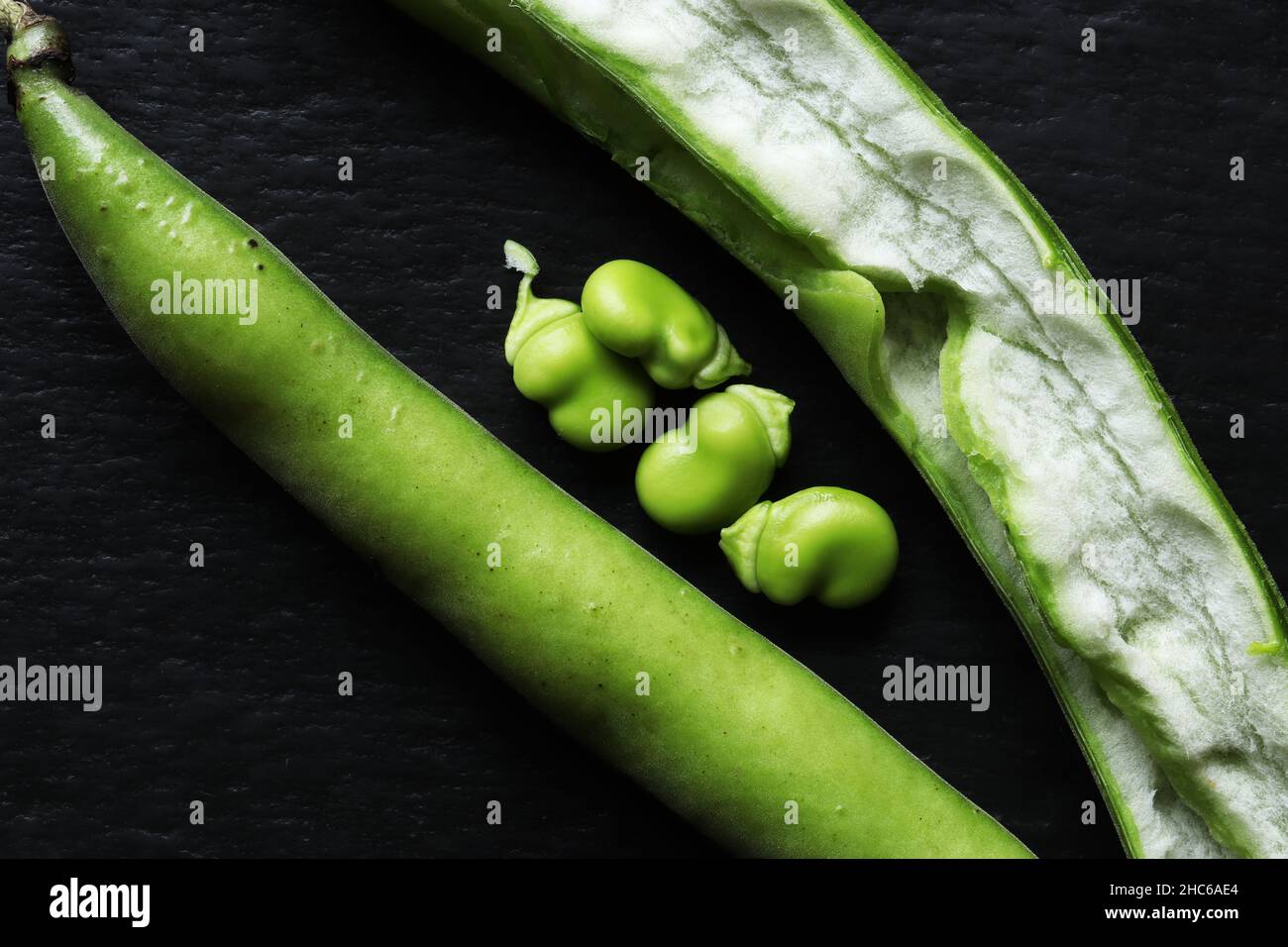 Fotografia di un baccello di fagiolo chiuso e aperto e di quattro fagioli isolati su sfondo ardesia per illustrazioni alimentari Foto Stock