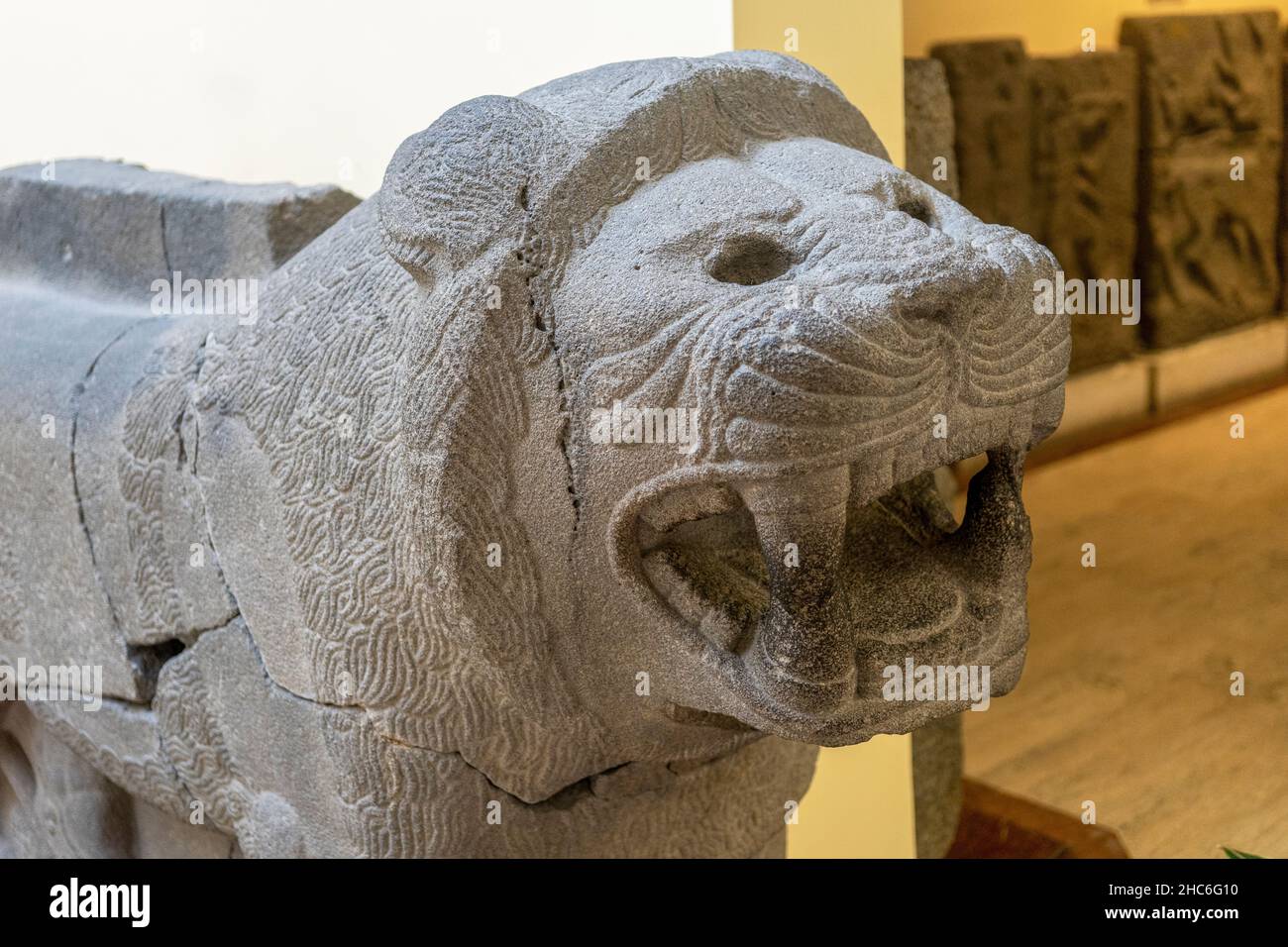 Testa del leone di pietra che un tempo sorvegliava l'ingresso al palazzo tardo-ittita a Zincirli (Samal), 9th secolo AC. Foto Stock