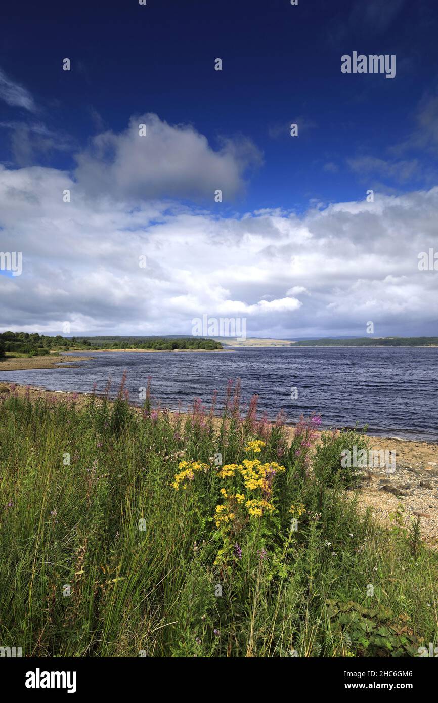 Vista estiva sul Kielder Water e sul Kielder Forest Park, Northumberland, Inghilterra, Regno Unito Foto Stock