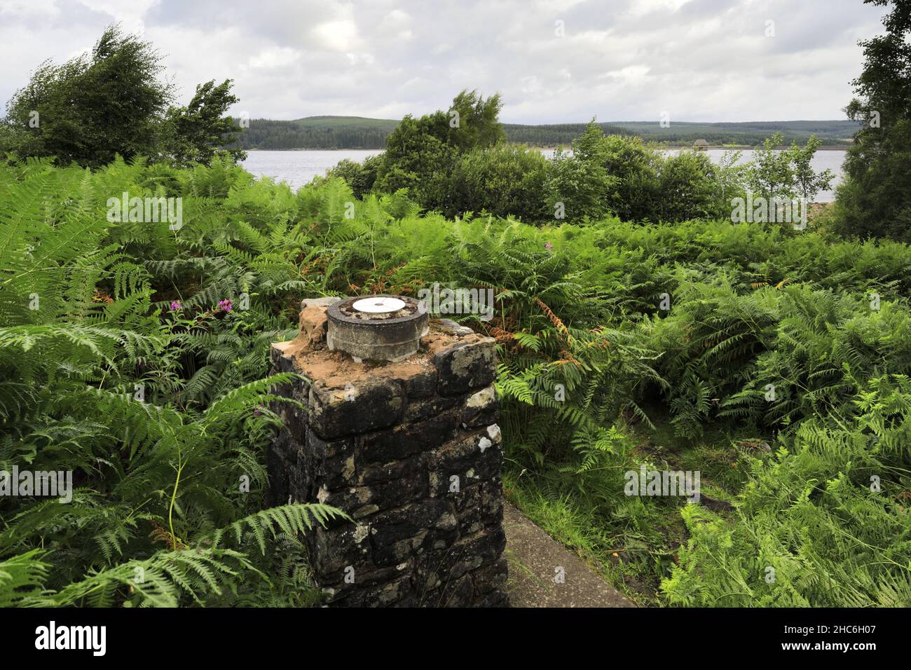 Vista estiva sul Kielder Water e sul Kielder Forest Park, Northumberland, Inghilterra, Regno Unito Foto Stock