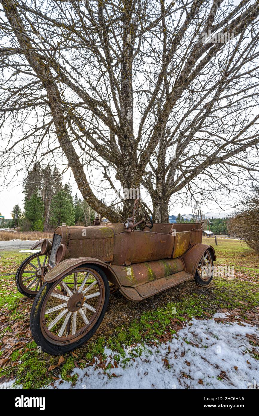 Auto vecchia con alberi cresciuti attraverso il corpo Foto Stock