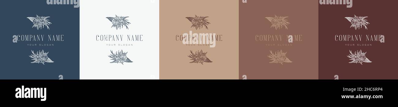 floreale vintage natura femminile logo modello marchio Illustrazione Vettoriale