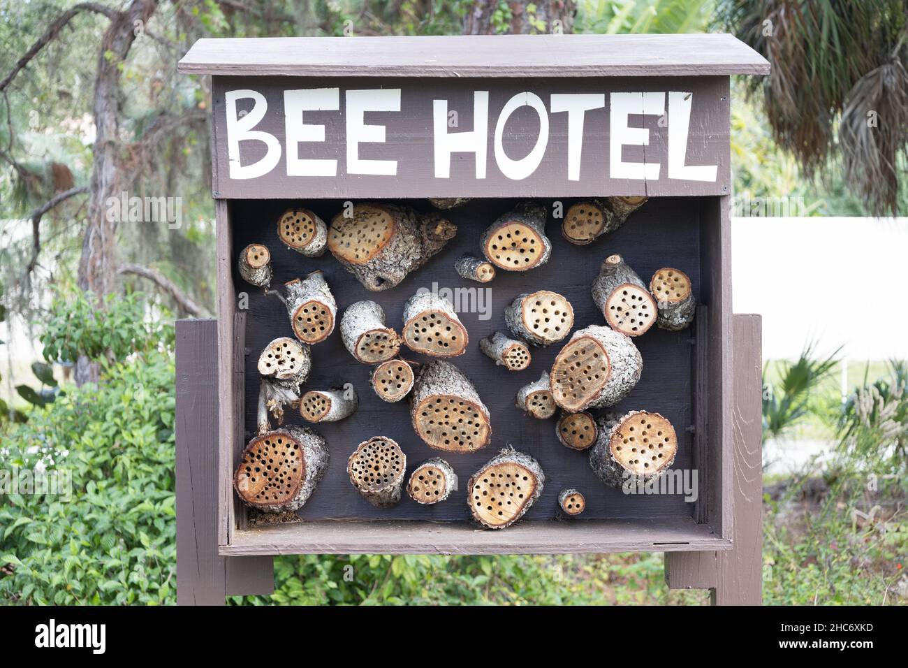 Un hotel di api presso la riserva di Robinson a Bradenton, Florida. Foto Stock