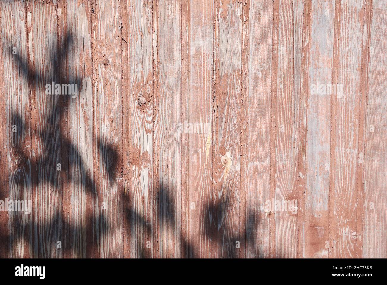 L'ombra scura delle foglie su una recinzione di legno. Sfondo in legno neutro, concetto di natura. Spazio per il testo. Foto di alta qualità Foto Stock