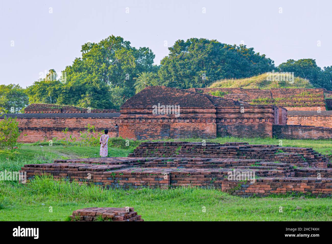 Rovine dell'università di Nalanda a Nalanda Patna Foto Stock