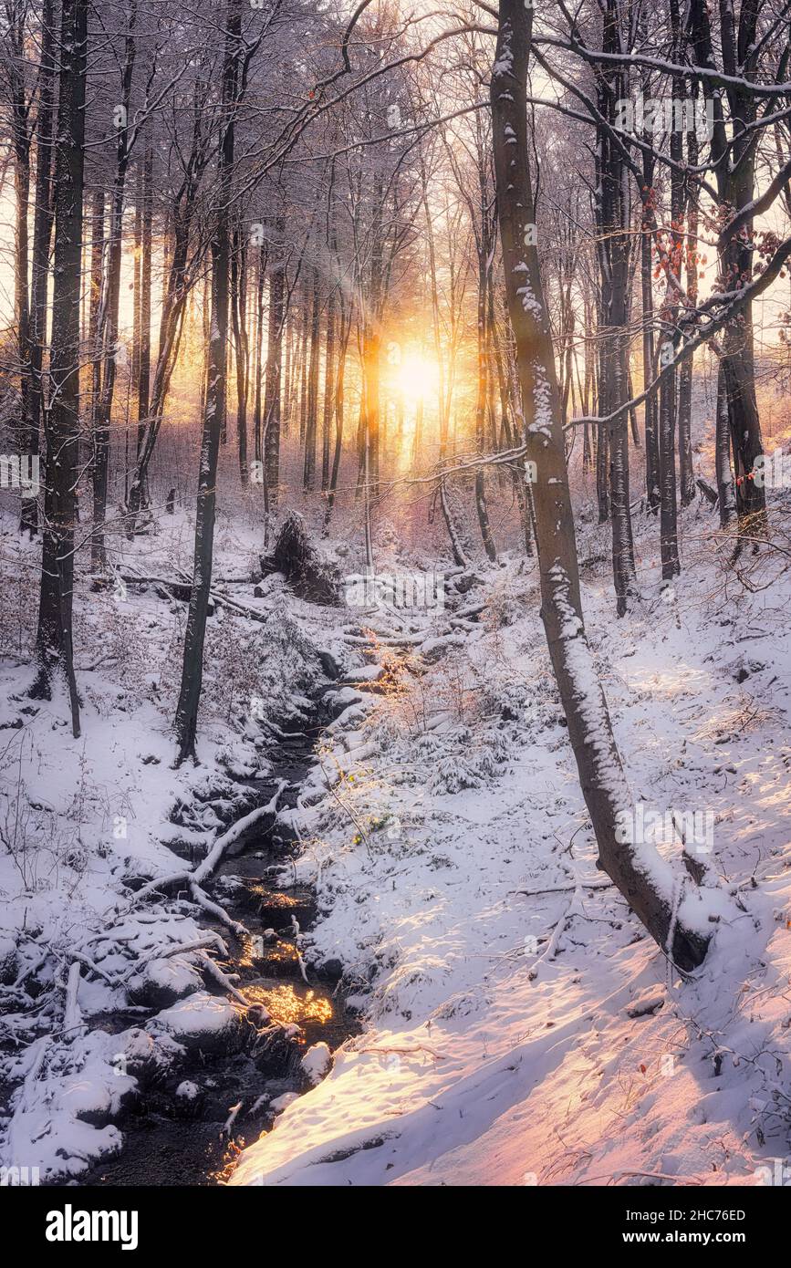 Paesaggio innevato in inverno. Foresta ghiacciata con il torrente di acqua ghiacciata e il sole d'inverno nel mese di dicembre. Luce color pastello intorno al solstizio d'inverno. Foto Stock