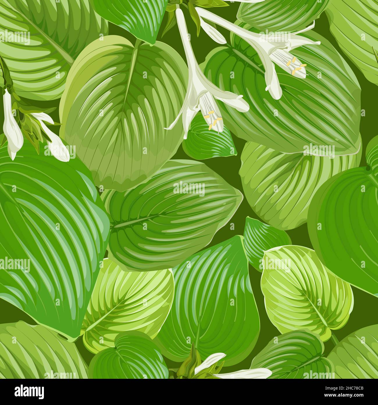 Modello senza giunture con foglie e fiori di ospiti su sfondo verde Illustrazione Vettoriale