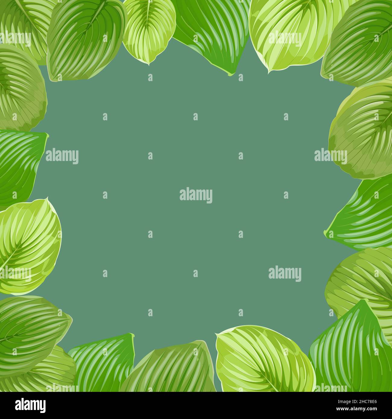 Cornice quadrata fatta di foglie di hosta su sfondo verde Illustrazione Vettoriale