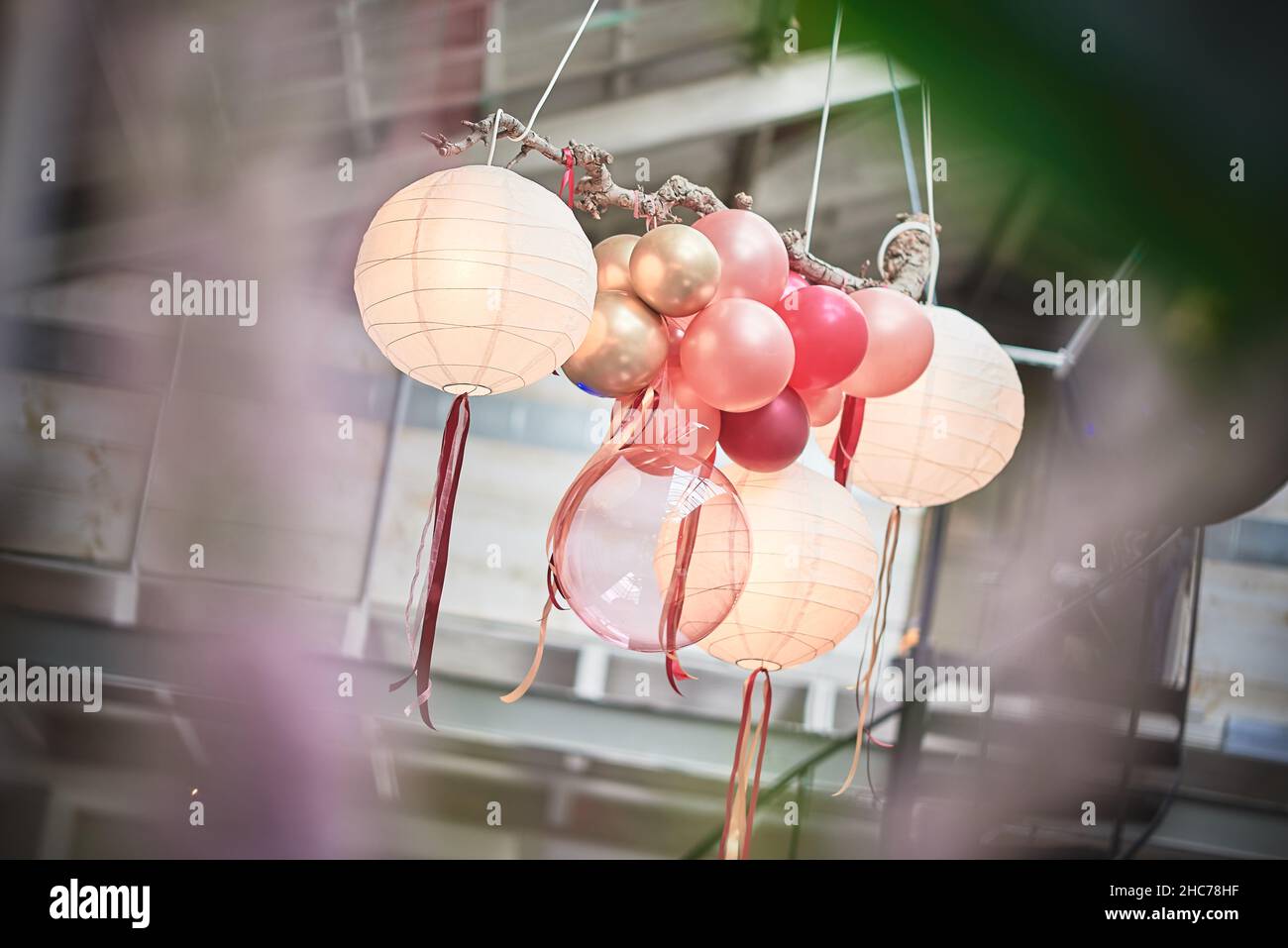 Fuoco selettivo sparato di palloncini colorati come decorazioni di partito visto dietro una pianta sfocata Foto Stock