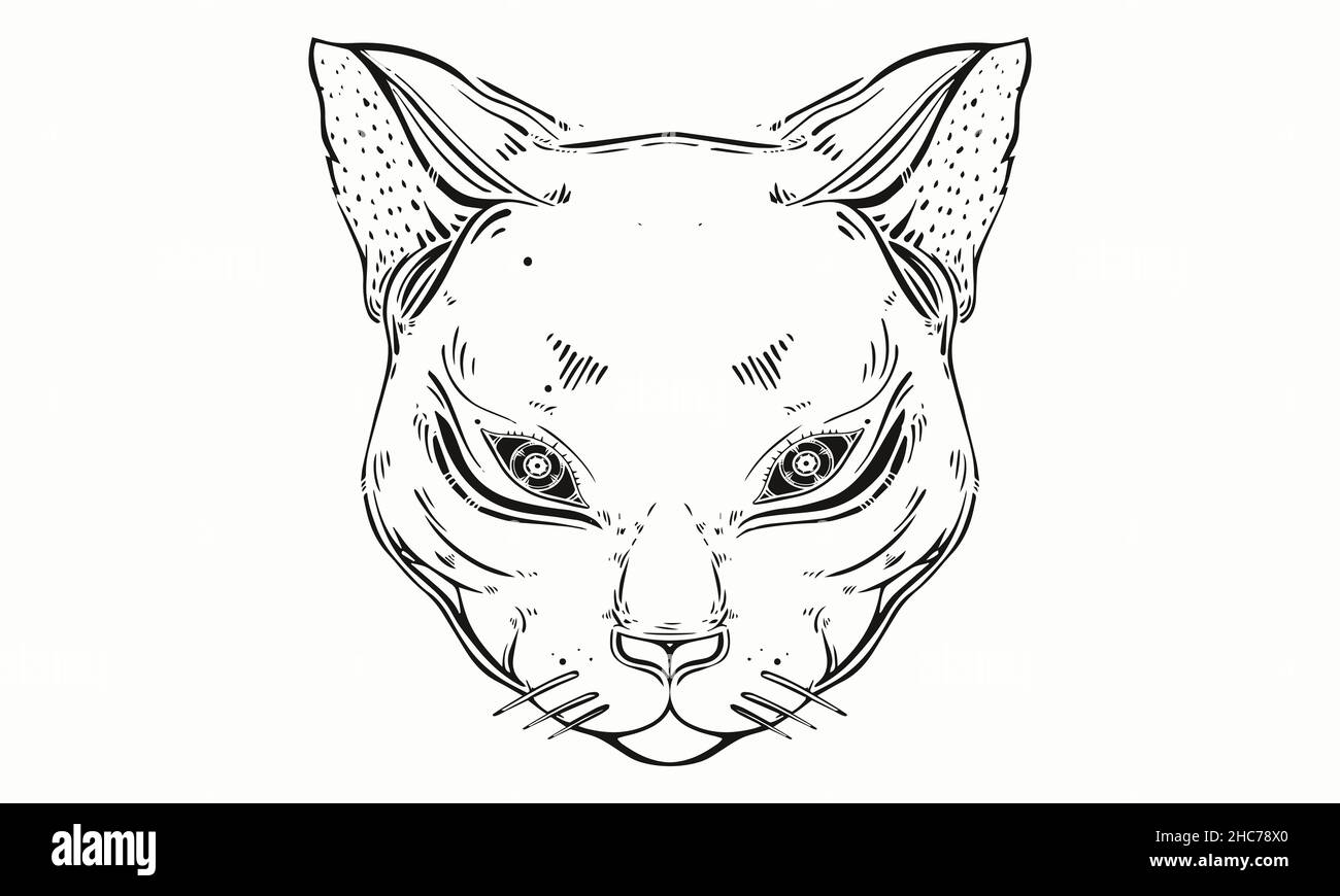Testa di gatto su sfondo bianco. Una bestia predatoria ha sbarato i denti. Illustrazione Vettoriale